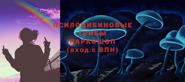 индика Богородск