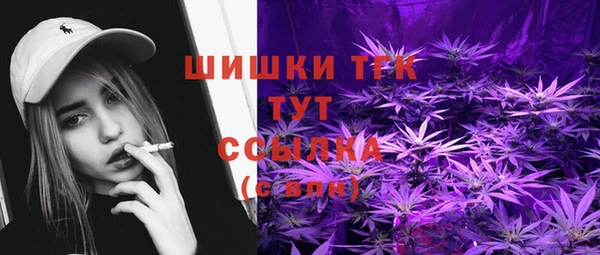 бошки Бронницы
