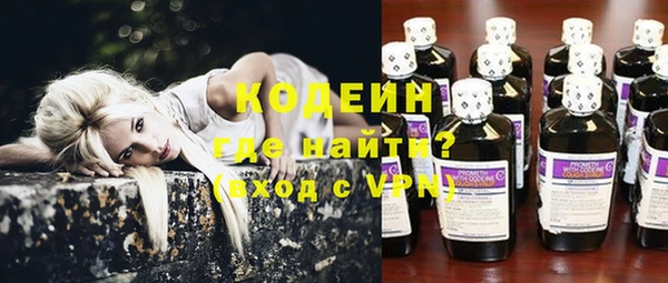 шишки Богородицк