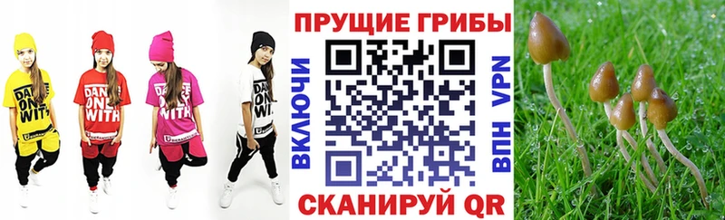 Псилоцибиновые грибы мицелий  площадка официальный сайт  Верещагино  где продают  